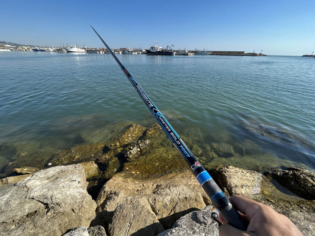 bolognese frangente x master bolo per la pesca al cefalo con la bolognese