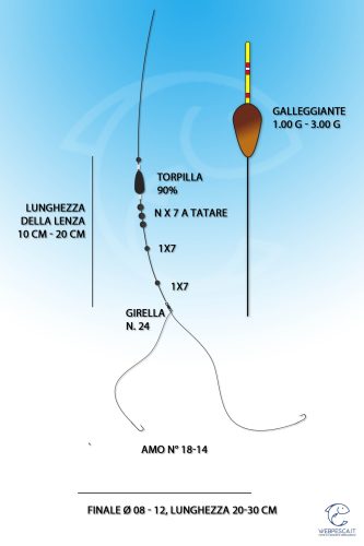 lenza per il cefalo con la bolognese